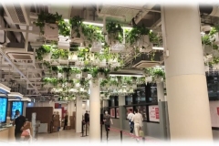 central-market_1