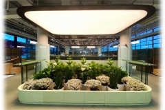 central-market_2